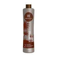 Express Ionic Nanoplastia Аминокислотный реконструирующий состав 1000 мл