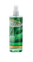 Лосьон перед депиляцией ITALWAX, 250 мл  Алое